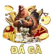 Trực tiếp HD